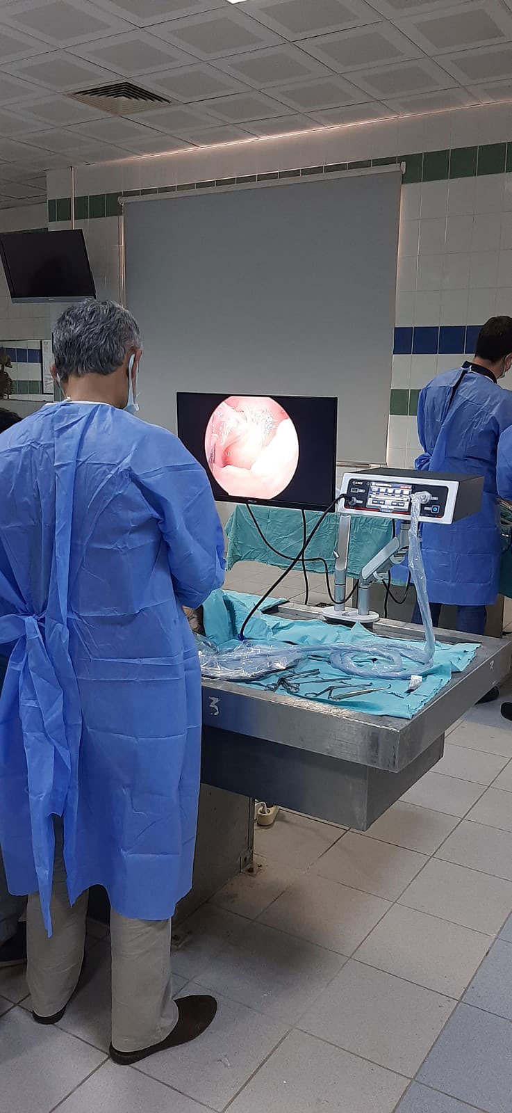 2022 AKDENİZ ÜNİVERSİTESİ KADAVRA DİSEKSİYON KURSU