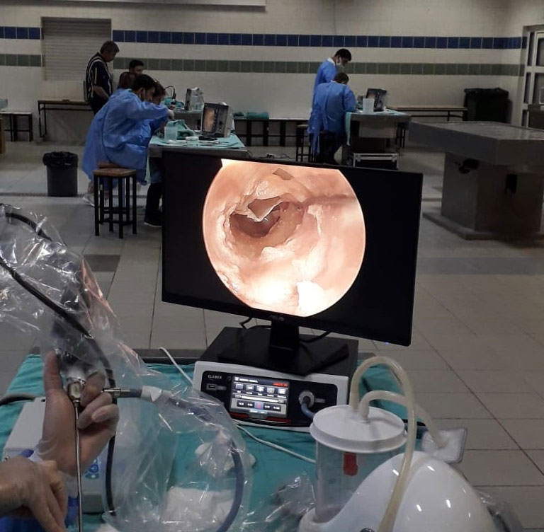 2023 – MEDOSEL, AKDENİZ ÜNİVERSİTESİ KADAVRA DİSEKSİYON KURSUNDA EĞİTİME OLAN BAĞLILIĞINI GÜÇLENDİRİYOR